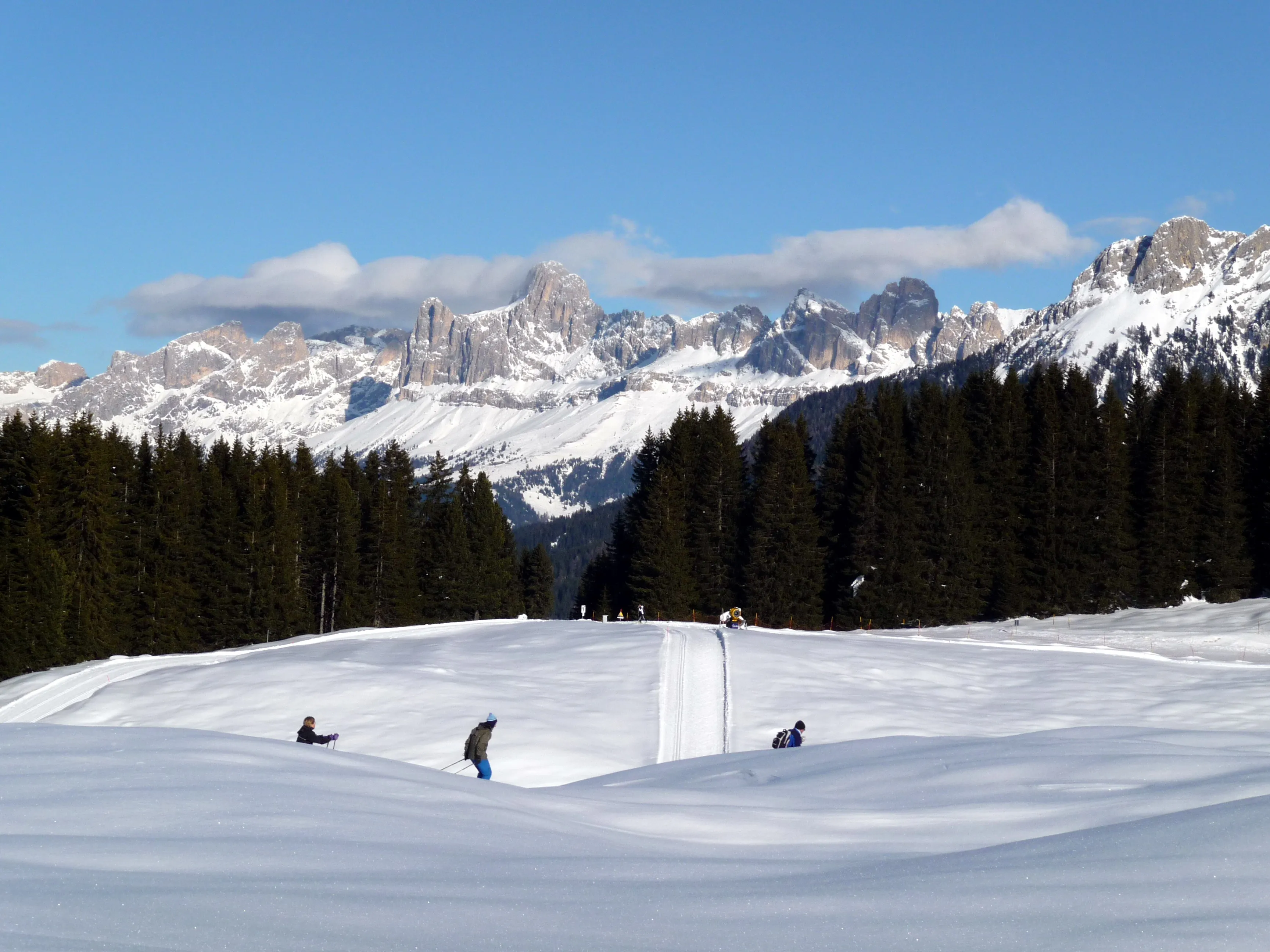 Pista da fondo a Passo Lavazè con le Dolomiti innevate sullo sfondo